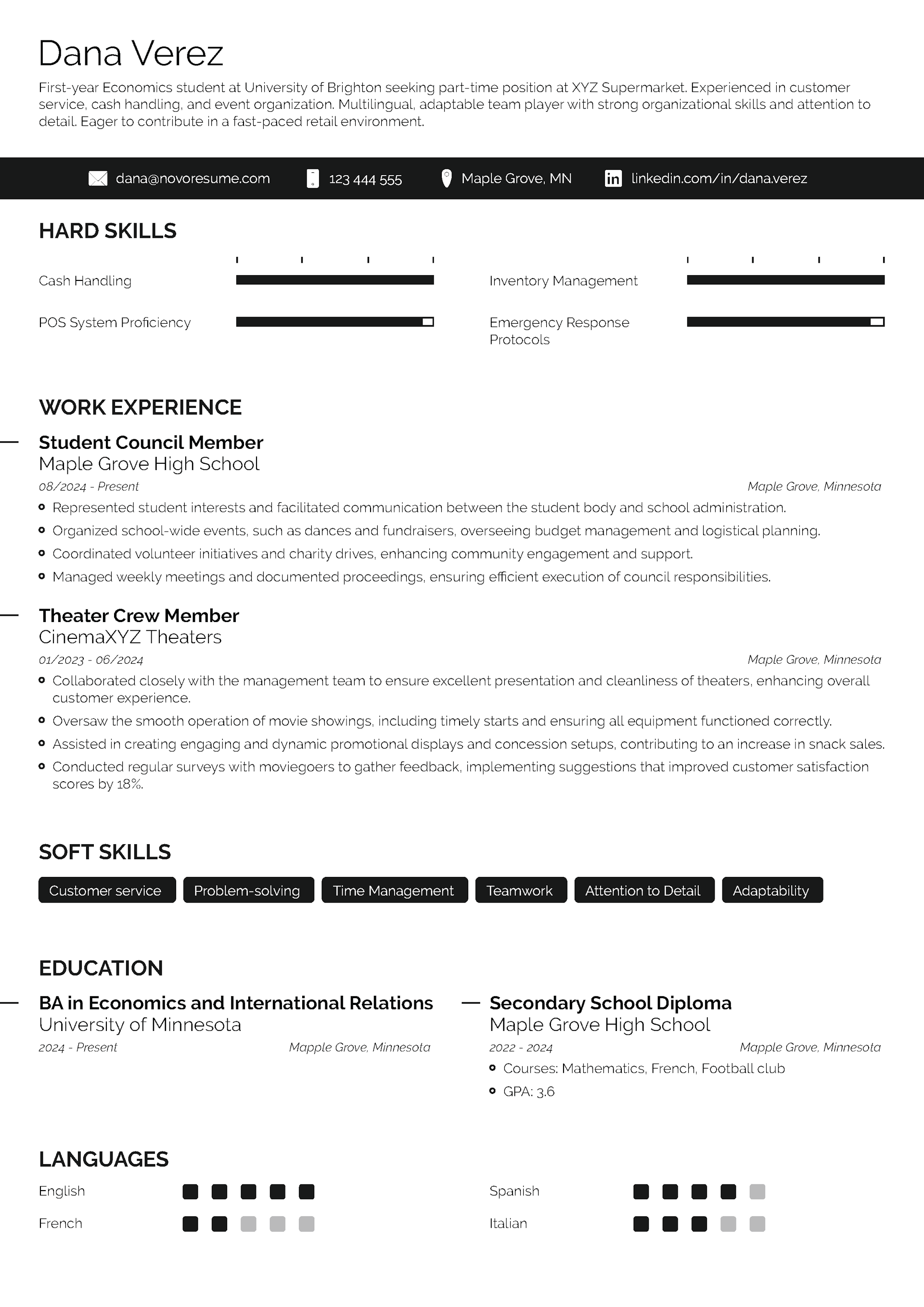 Minimalism CV Template