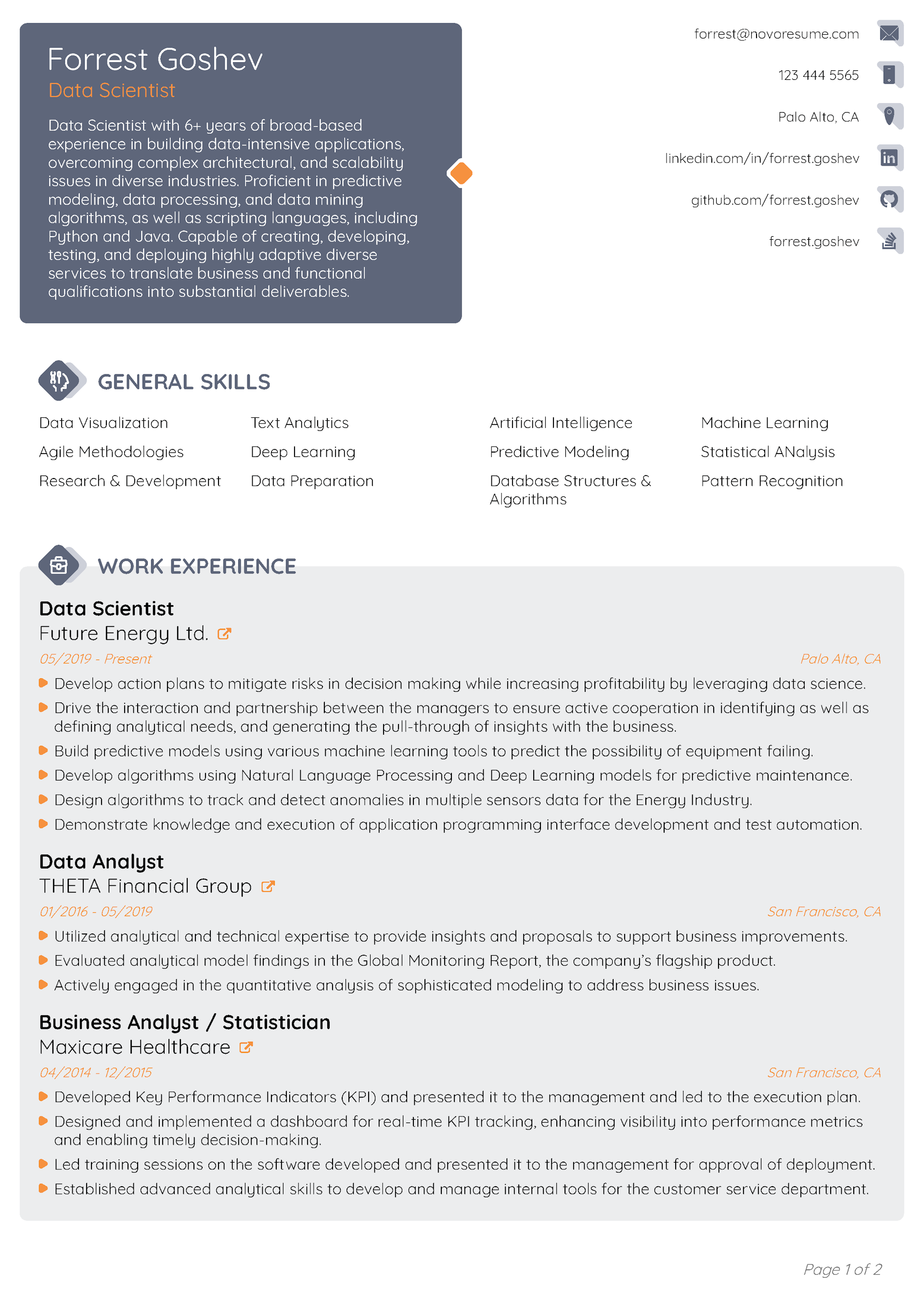 Pioneer CV Template