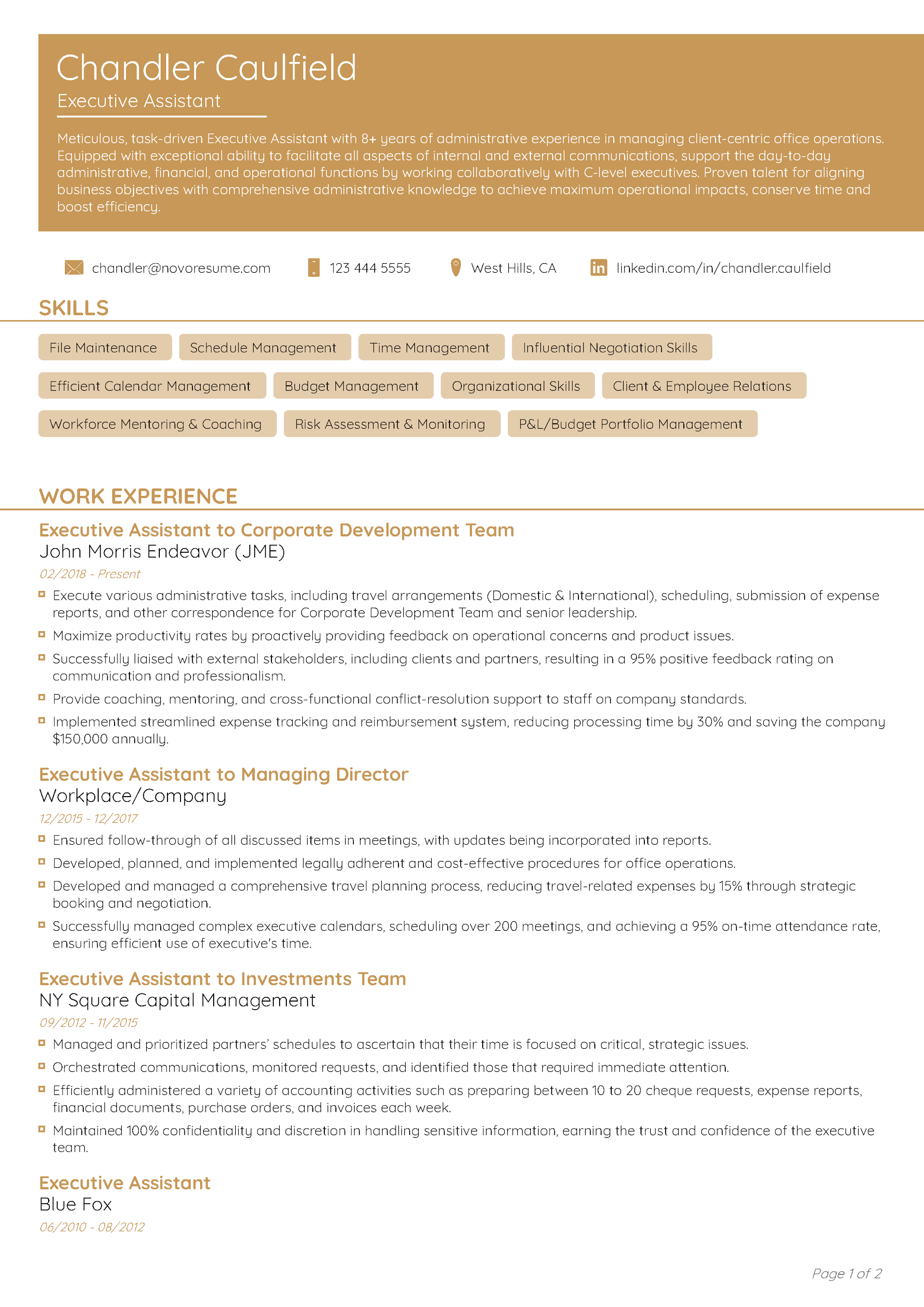 Functional CV Template 1