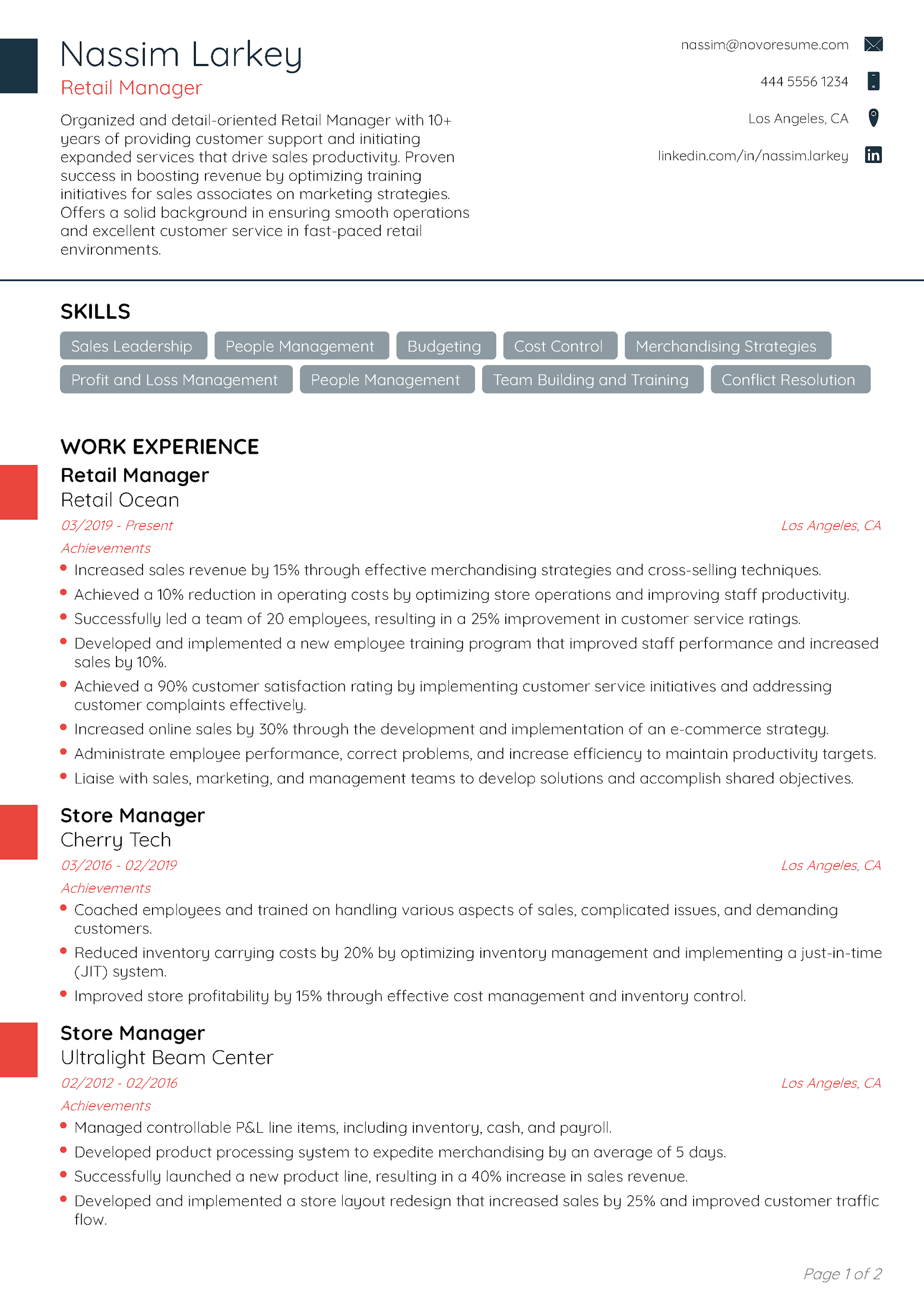 Professional CV Template 1