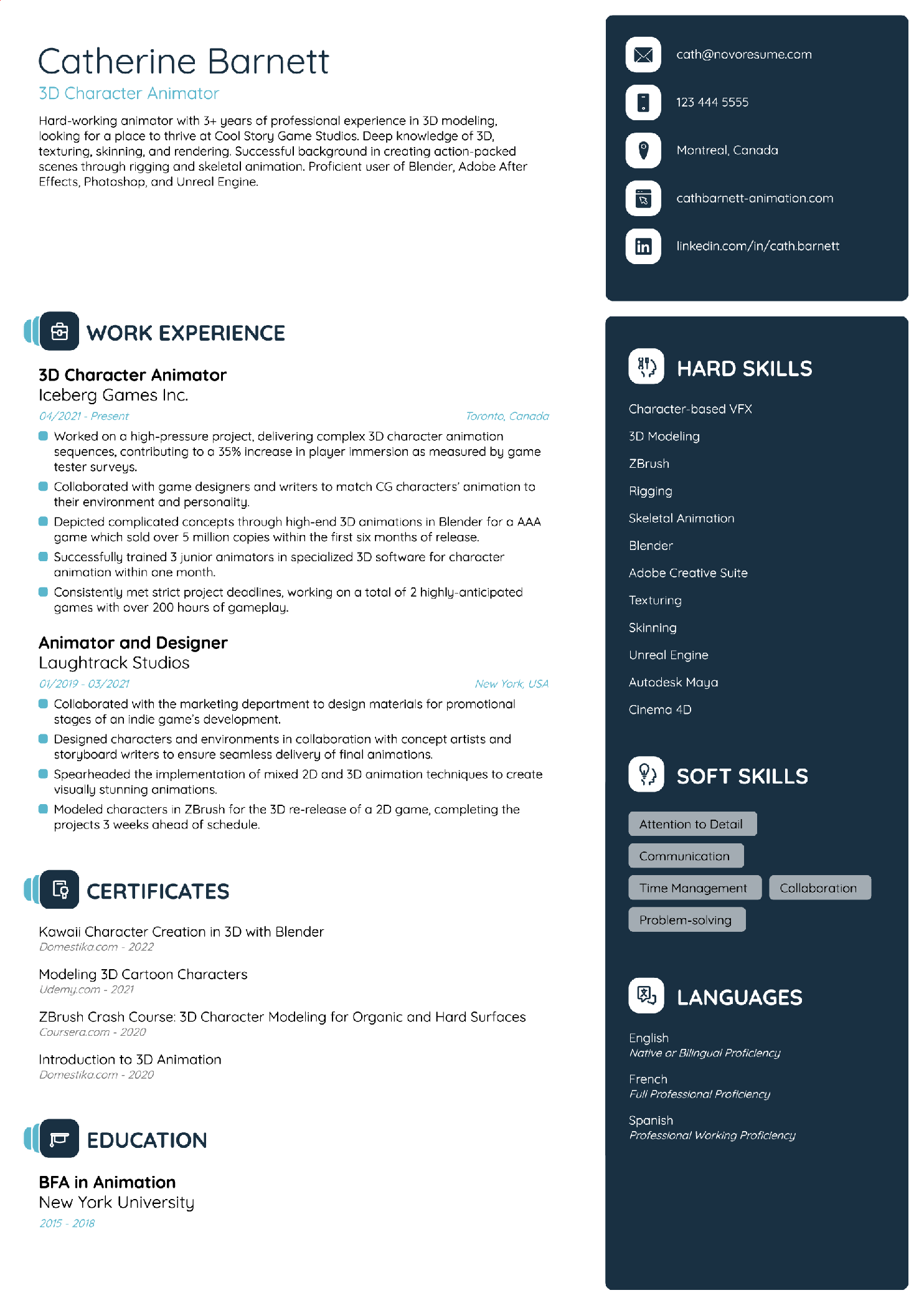Animator CV Template