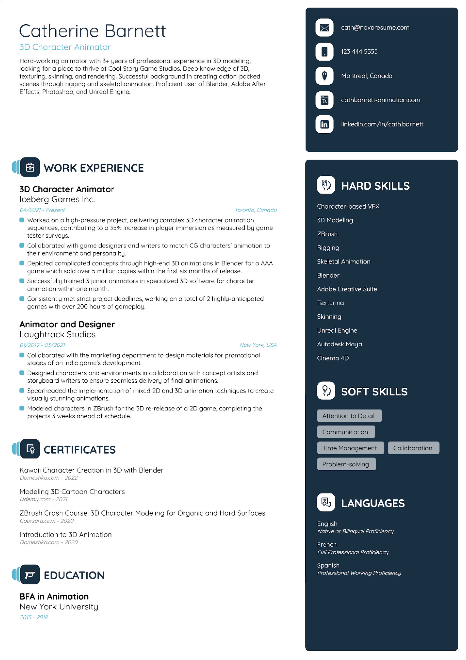 Animator CV Template