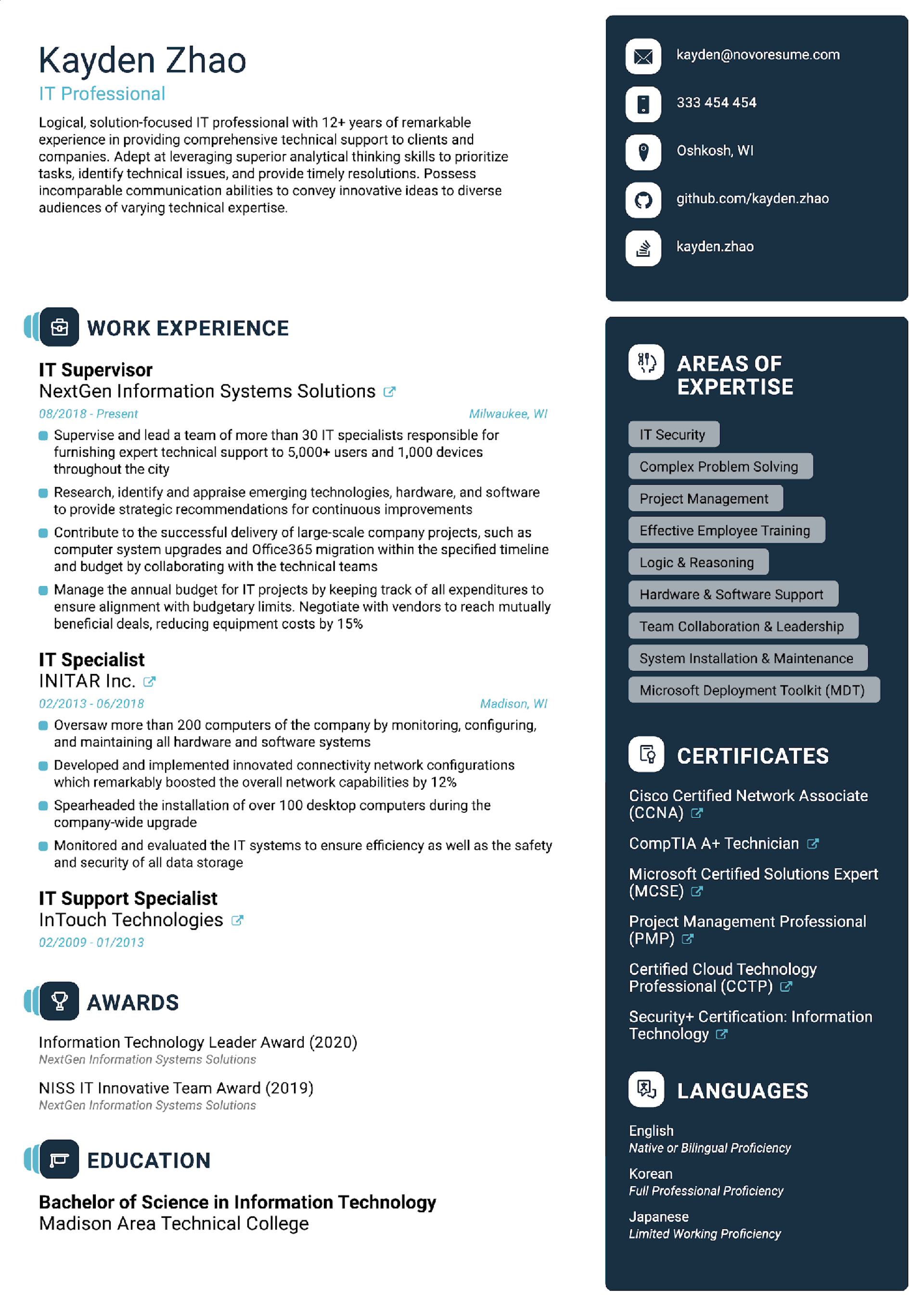IT CV Template