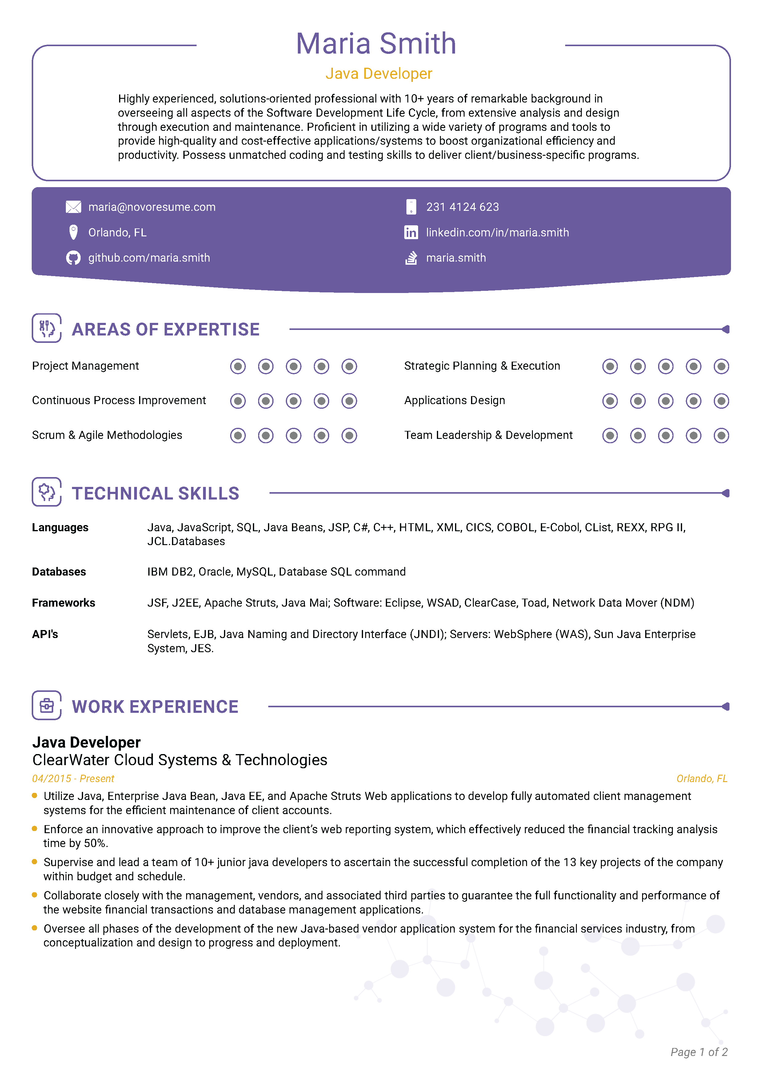 Traditional CV Template 1