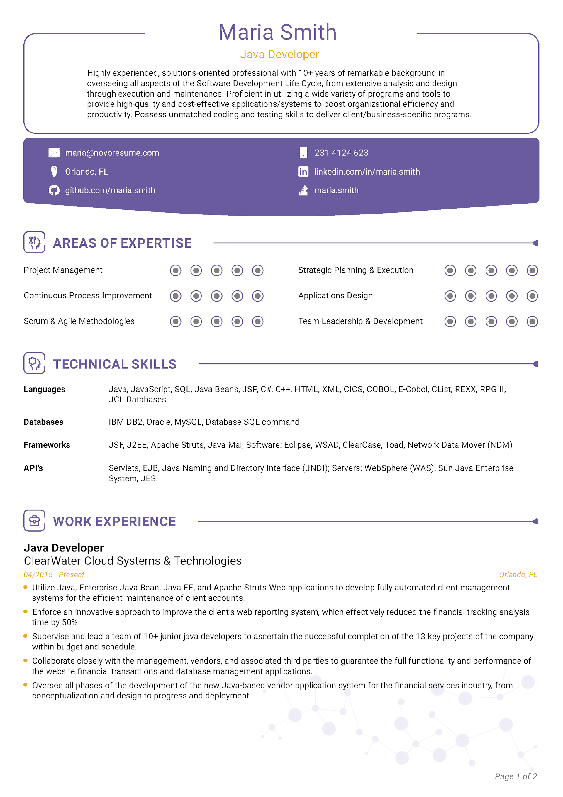 Traditional CV Template 1