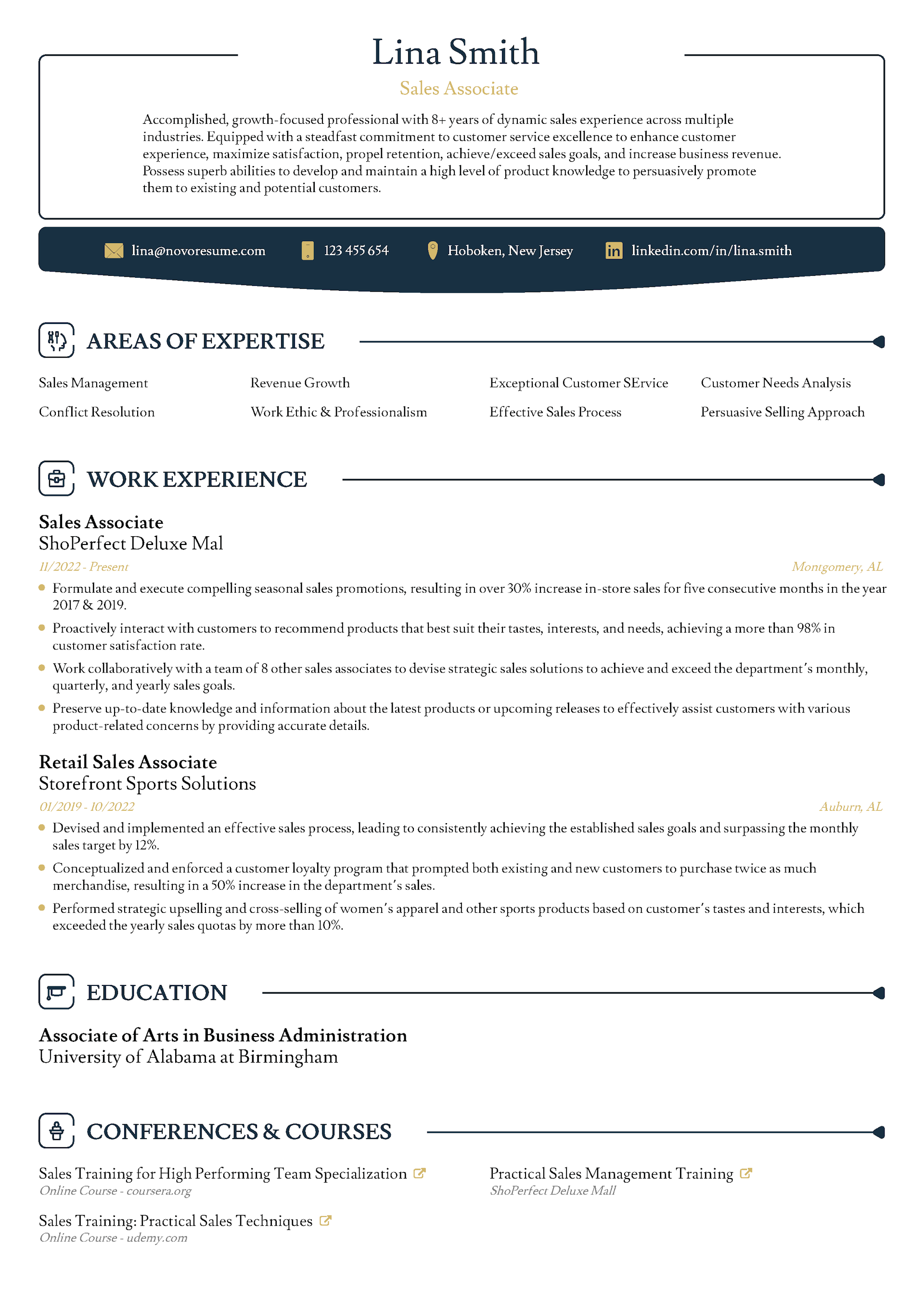 Precision Resume Template