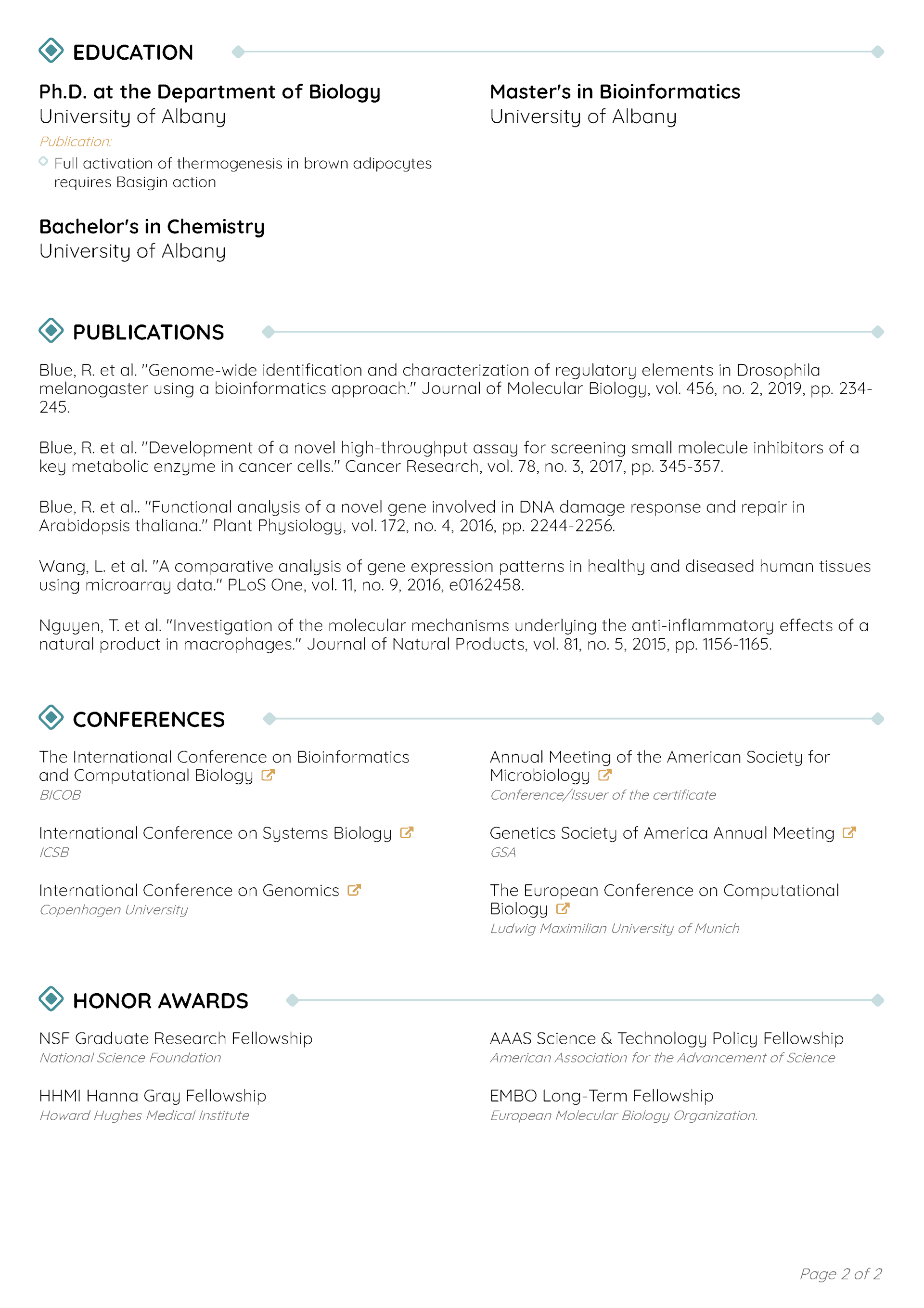 Minimnalist Resume Template 2