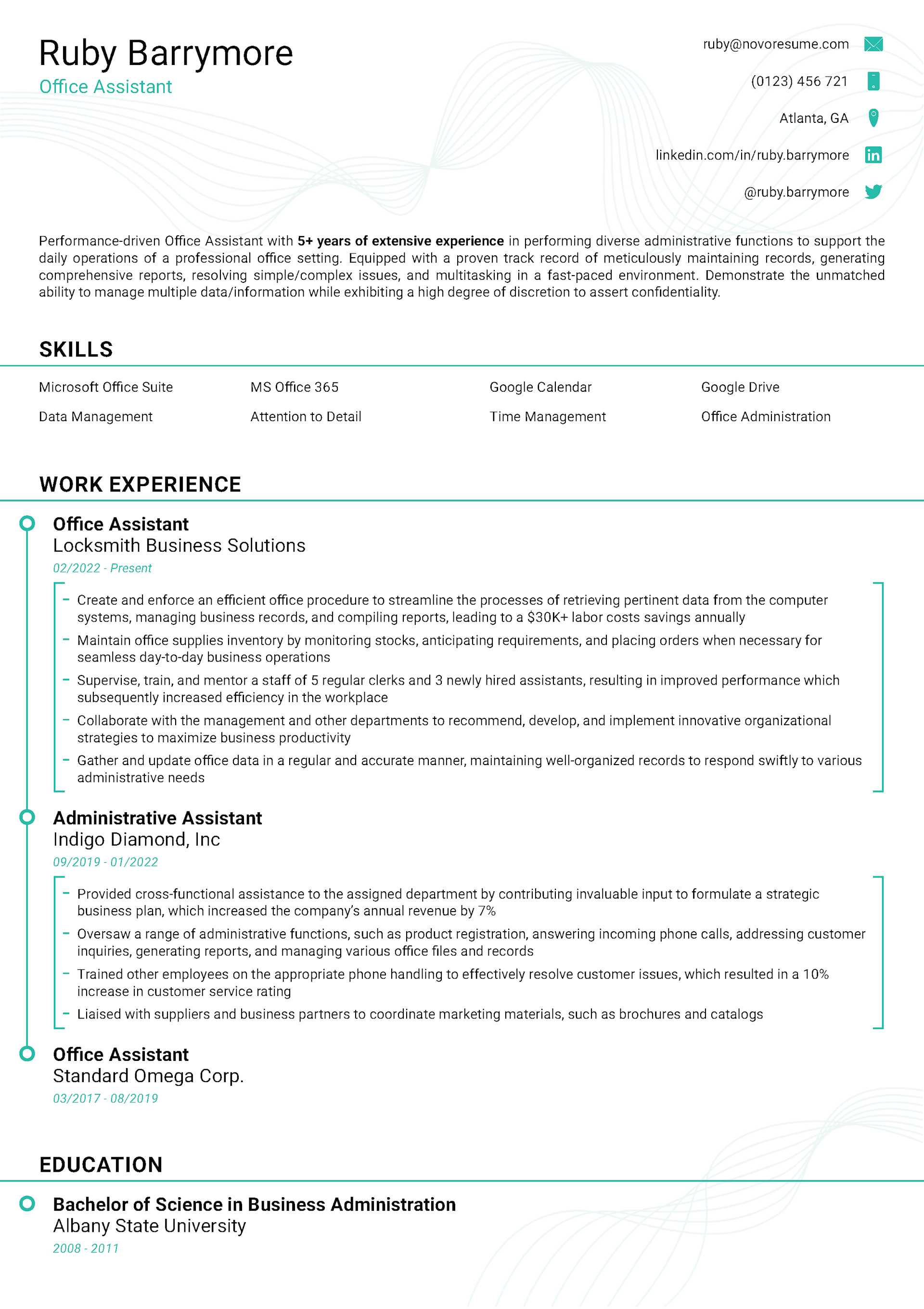 Sleek Resume Template